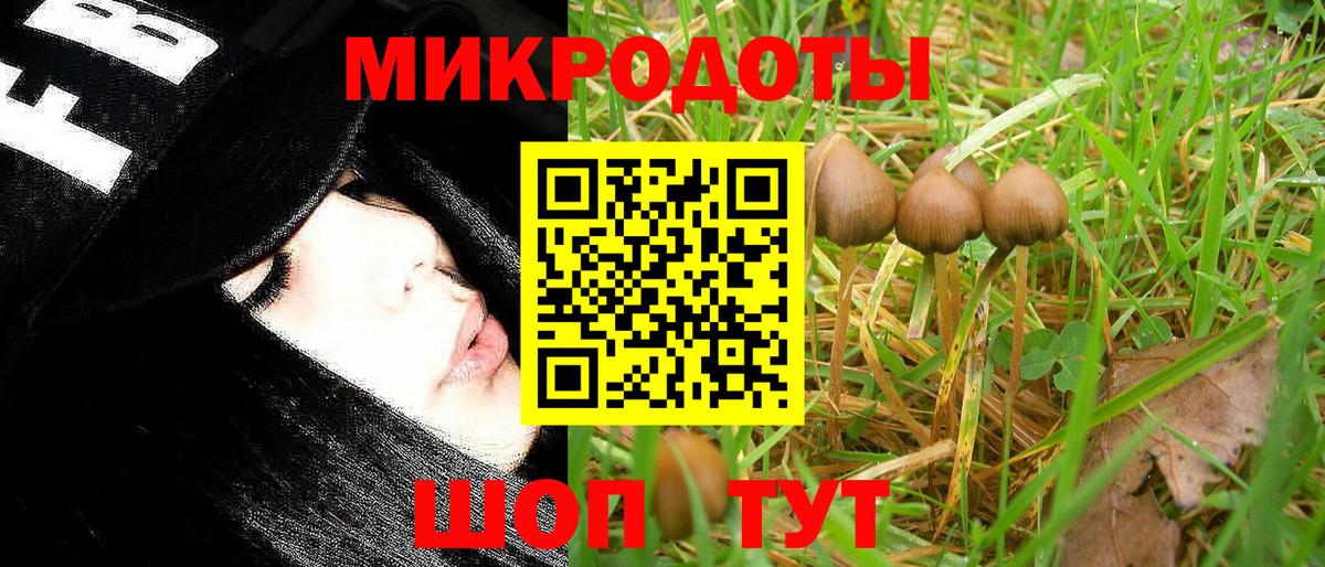 Галлюциногенные грибы мухоморы Магадан